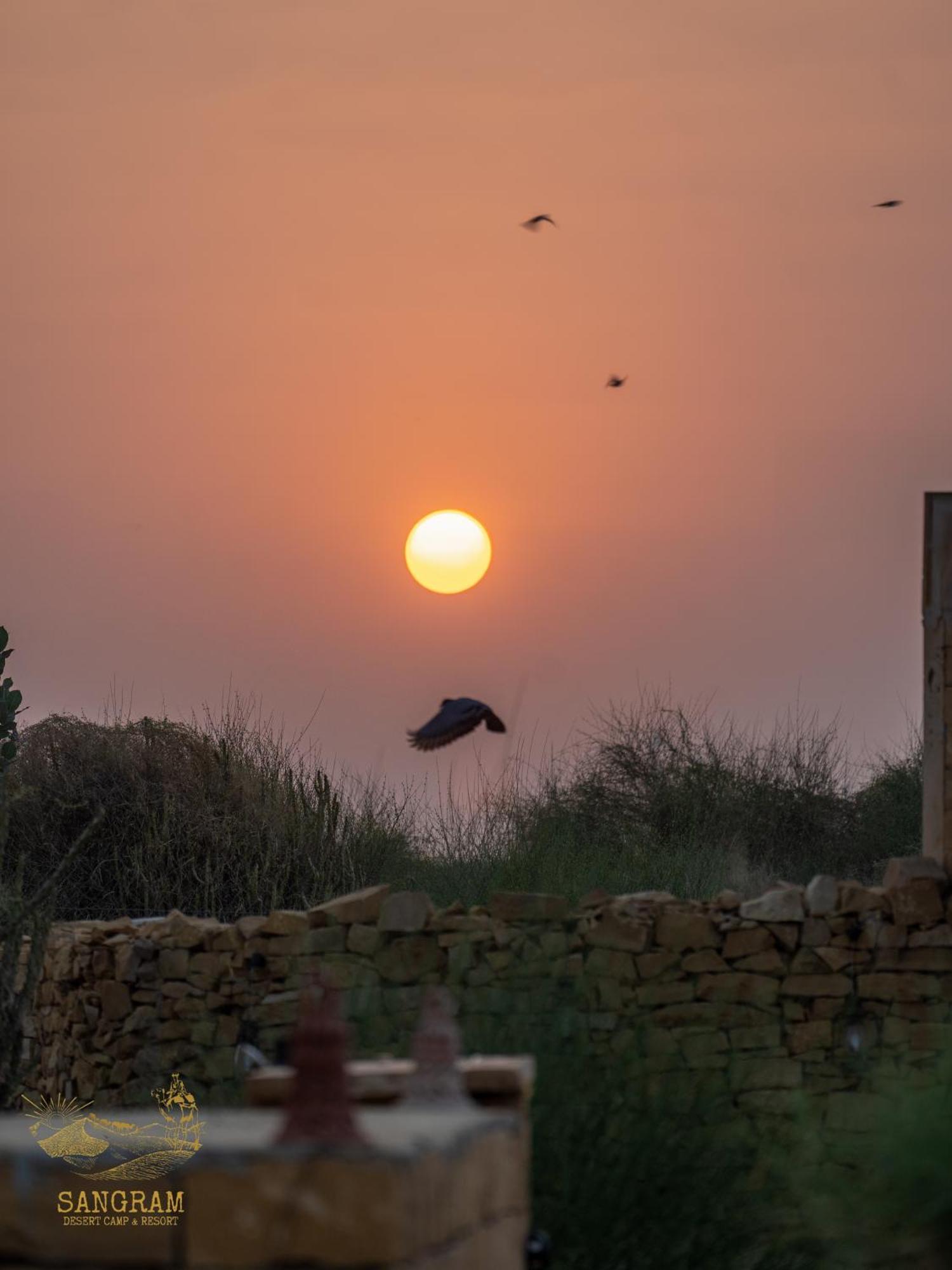 Sangram Desert Camp Jaisalmer Exterior photo